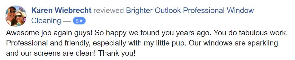 Facebook Window Cleaning Review